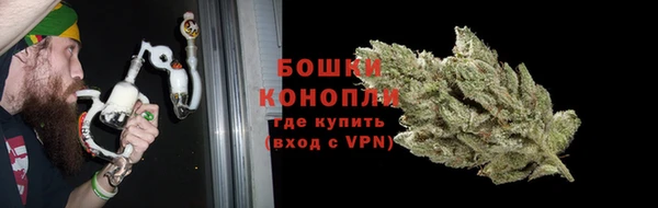гидра Богородск