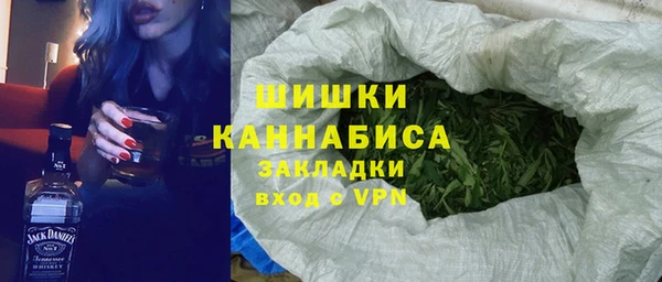 молекула духа Богданович